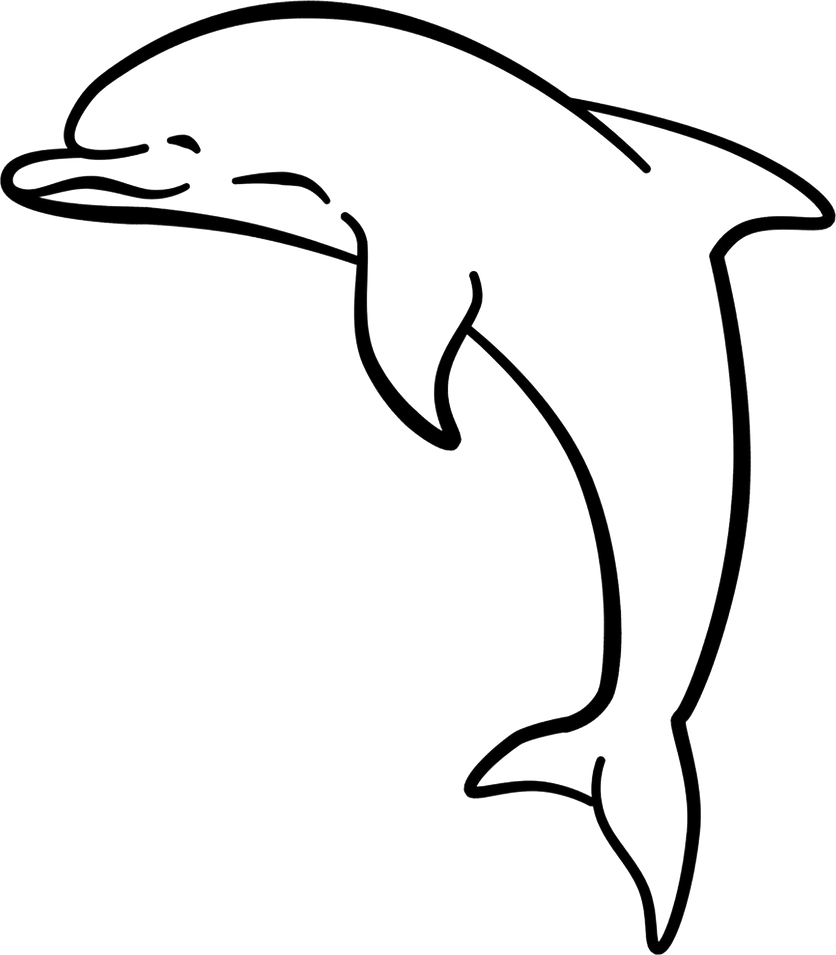 Illustration of a Dolphin